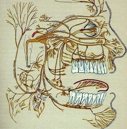 Dott Gianluca Galluccio 